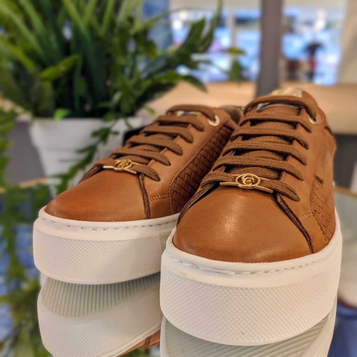 Carmela Leather Tan Trainers