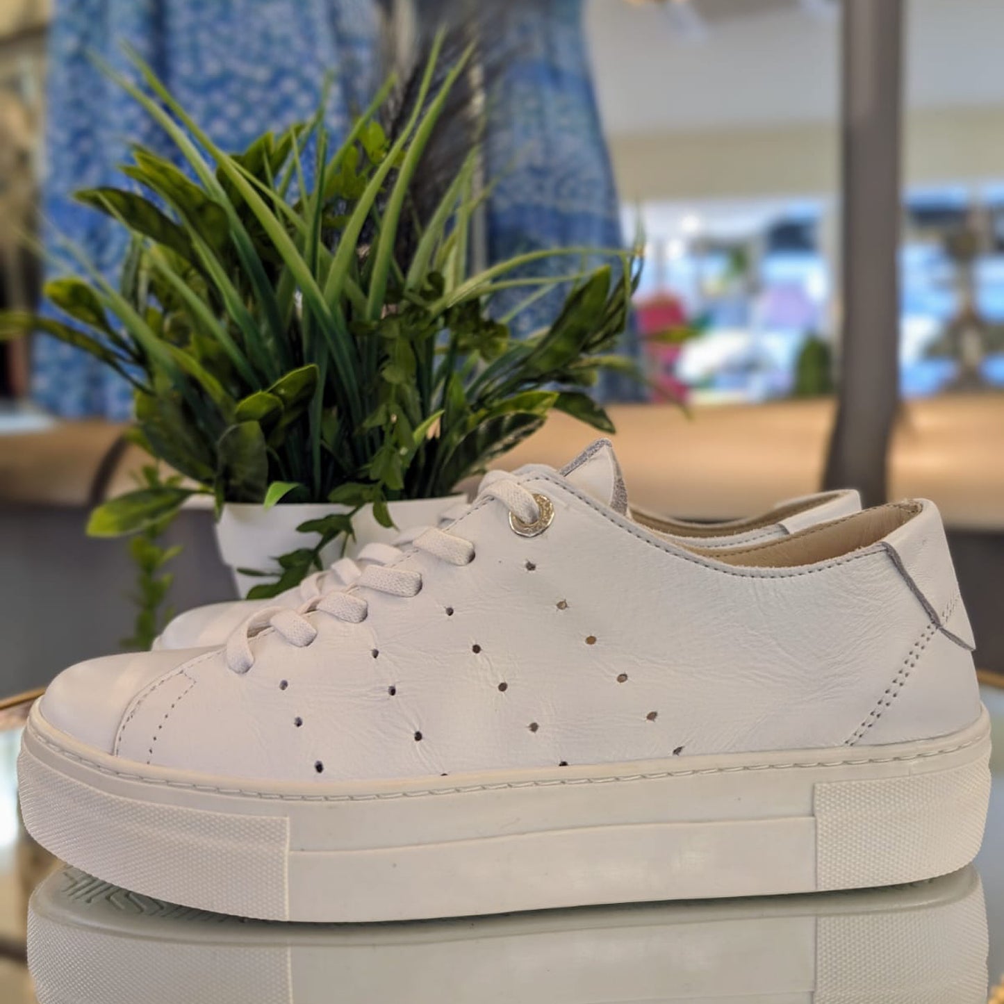 Carmela Leather White Trainers